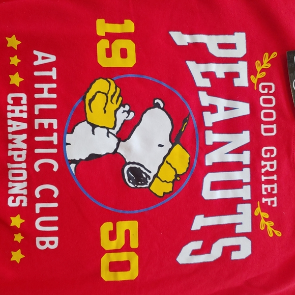 Peanuts sweater - Picture 2 of 6